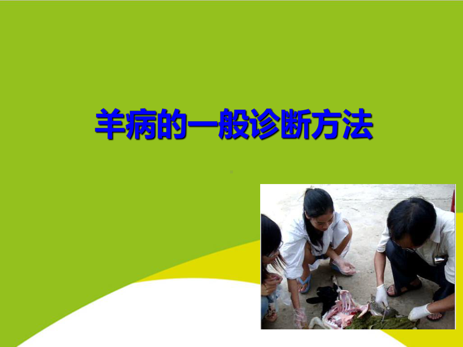 羊病诊断及防治授课用-课件.ppt_第3页