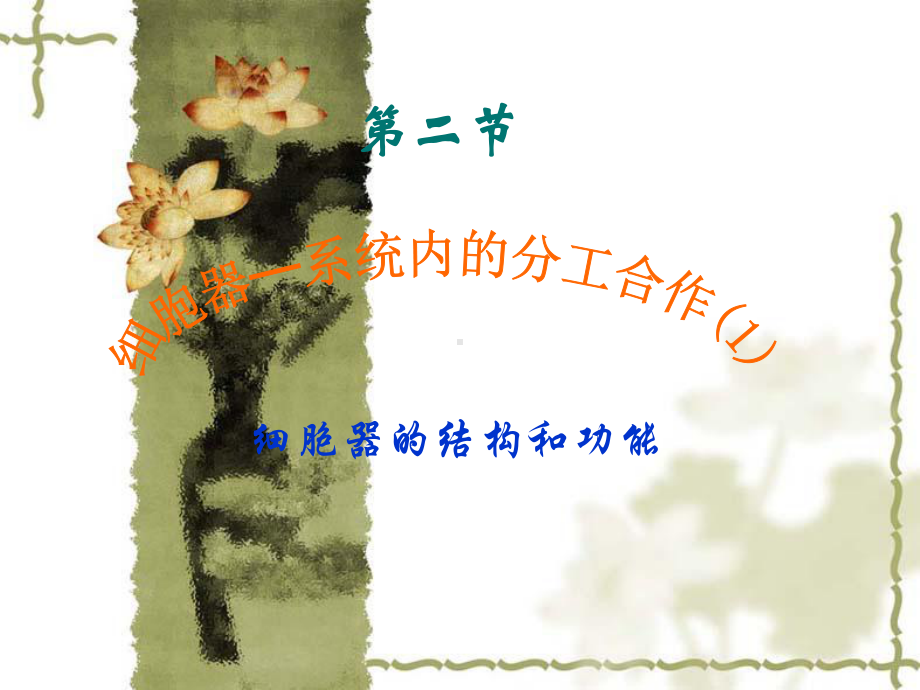 第二节细胞器系统内的分工合作课件.ppt_第1页