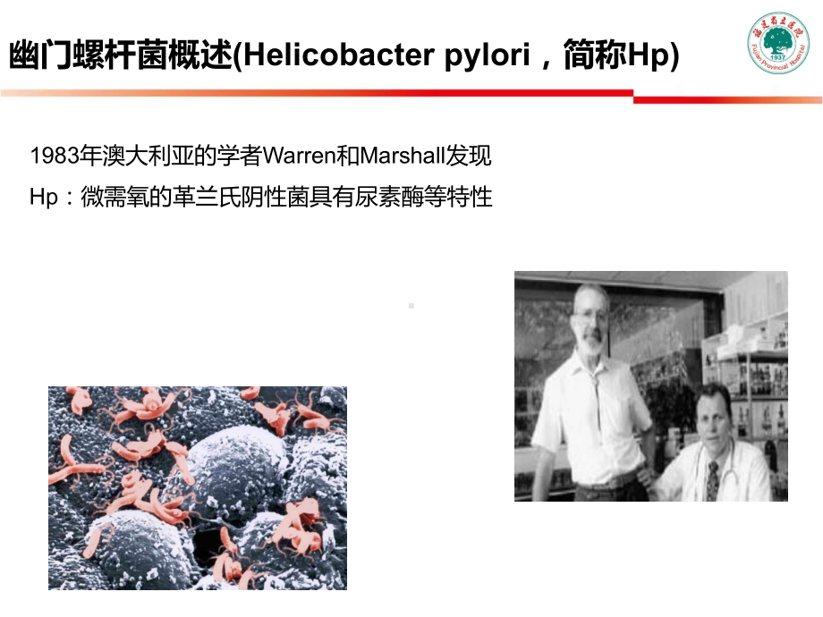 益生菌在幽门螺杆课件.ppt_第2页