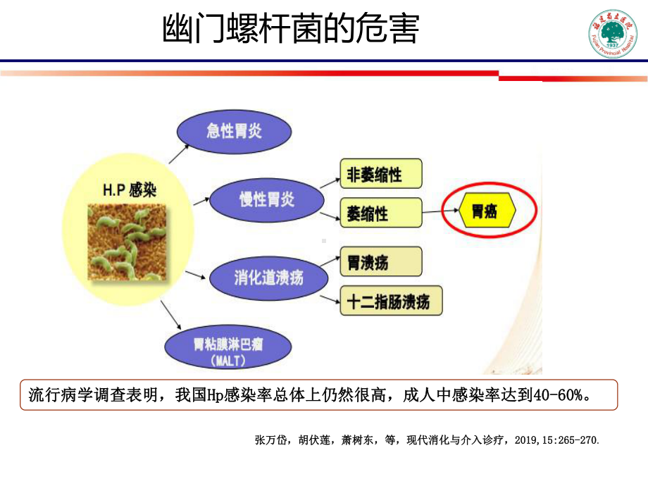 益生菌在幽门螺杆课件.ppt_第3页