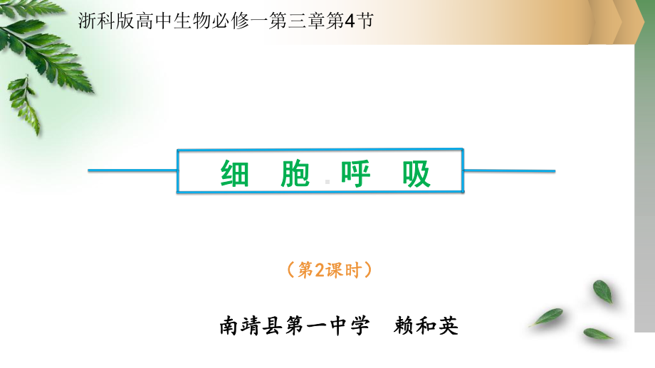 浙科版高中生物必修一细胞呼吸课件.pptx_第1页