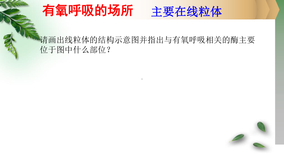 浙科版高中生物必修一细胞呼吸课件.pptx_第2页