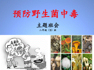 预防野生菌中毒课件.ppt