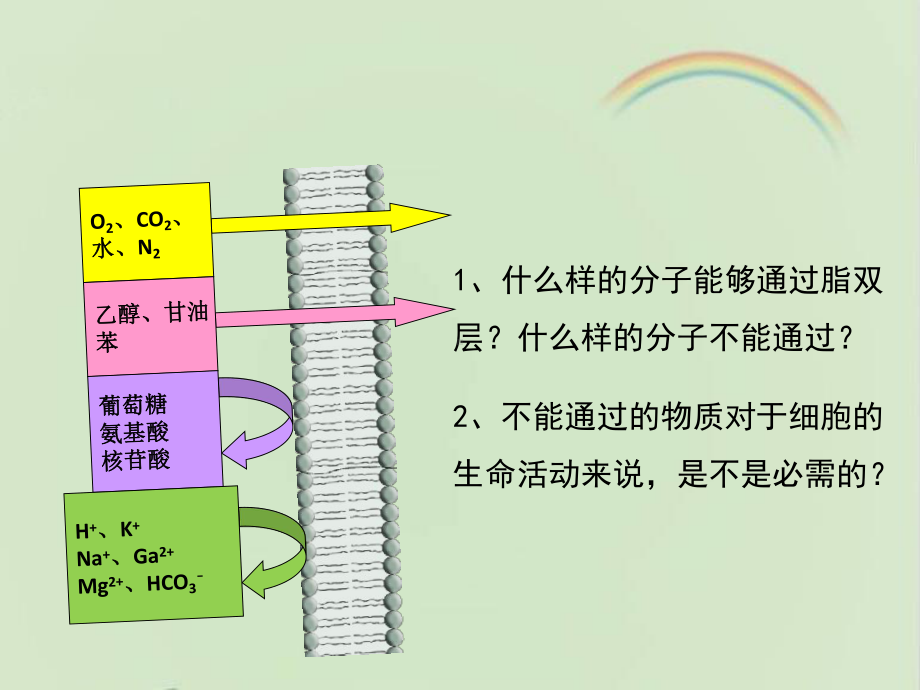 浙科版高中生物必修一《物质出入细胞的方式》第二课时课件-新版.ppt_第2页