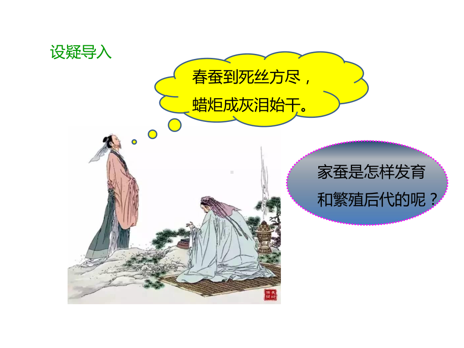 第六单元第一章第二节(一)《昆虫的生殖和发育》(课件).ppt_第2页