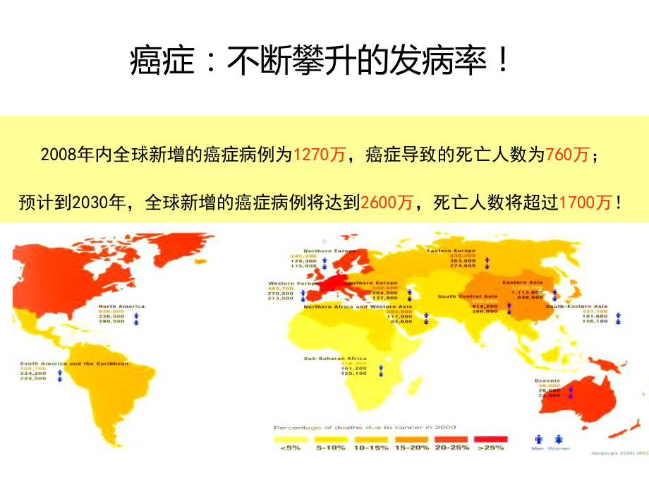 癌症与癌痛课件.pptx_第3页