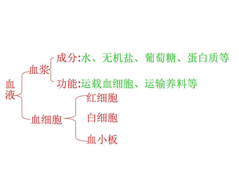 生物第10章《人体内的物质运输和能量供给》复习课件第.ppt_第3页