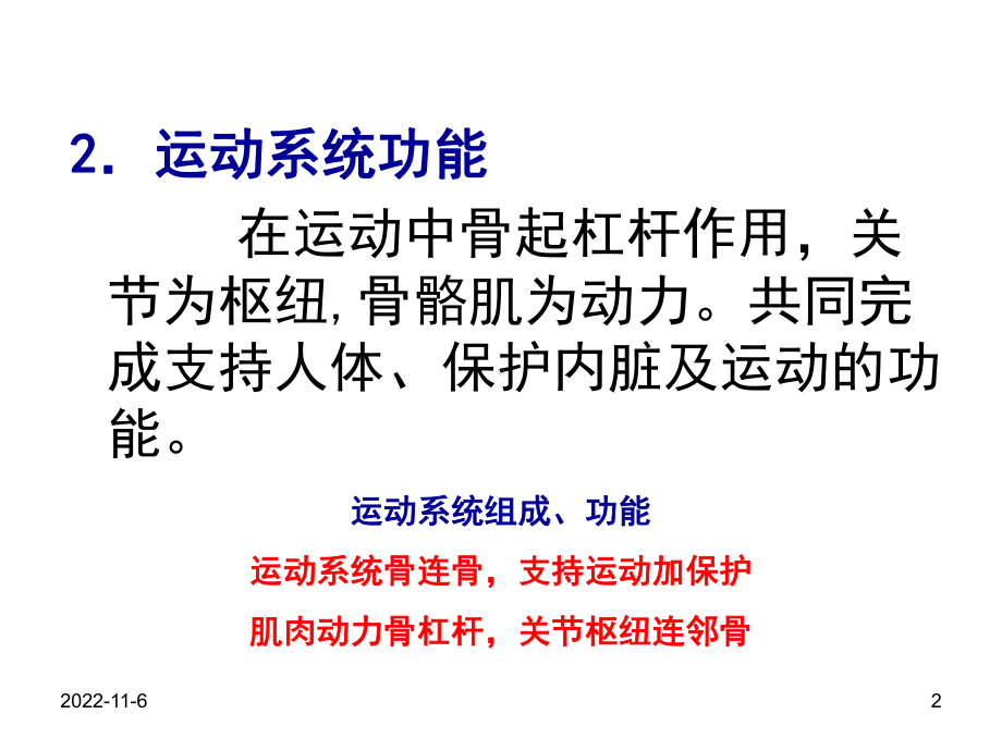 第三讲-运动系统课件.ppt_第2页