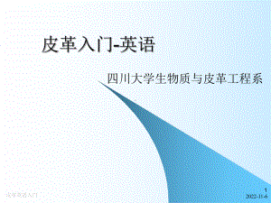 皮革入门-英语课件.ppt