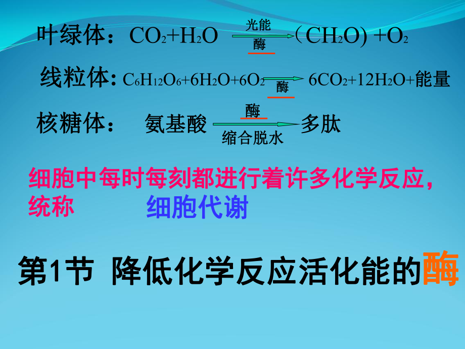 降低化学反应活化能酶酶作用和本质件课件.ppt_第3页