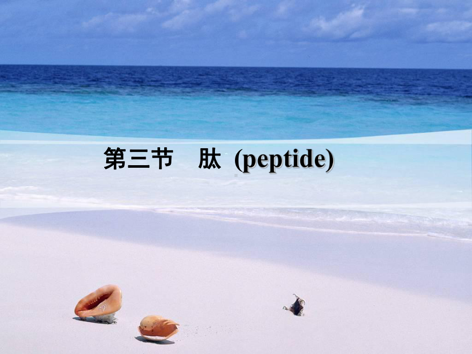 肽的结构和功能三课件.ppt_第1页