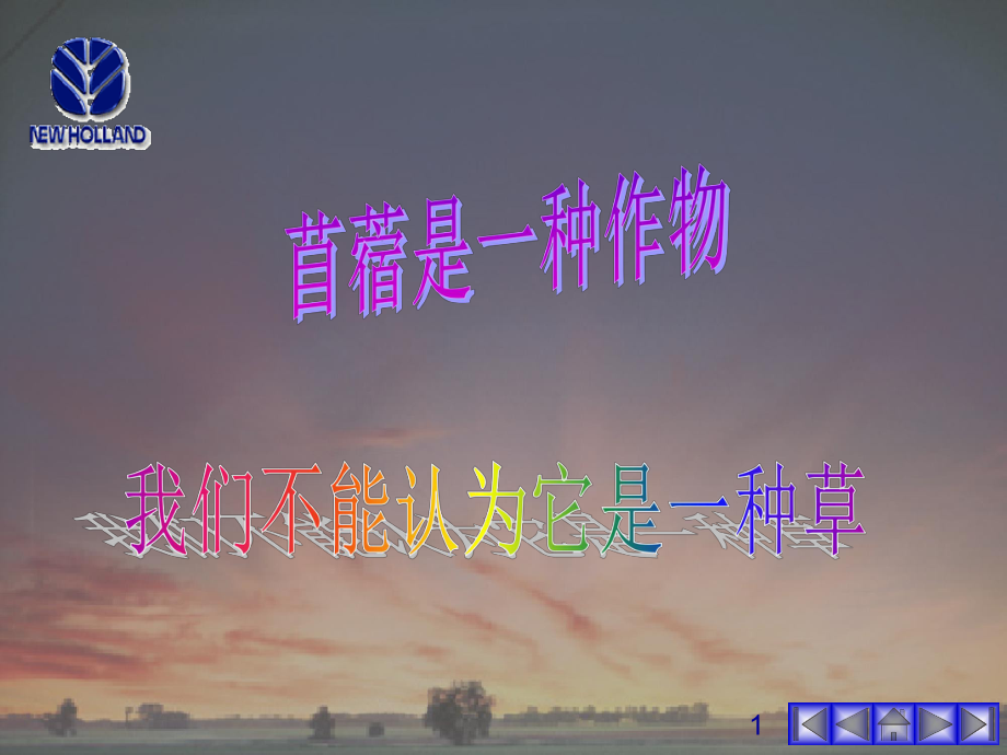 苜蓿的种植课件.ppt_第1页