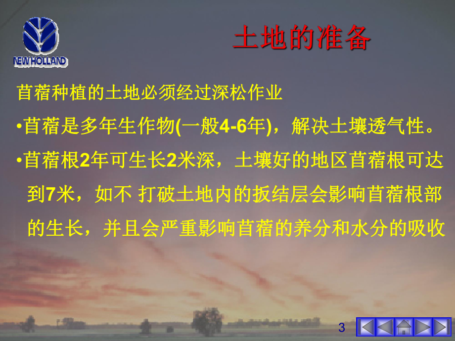 苜蓿的种植课件.ppt_第3页