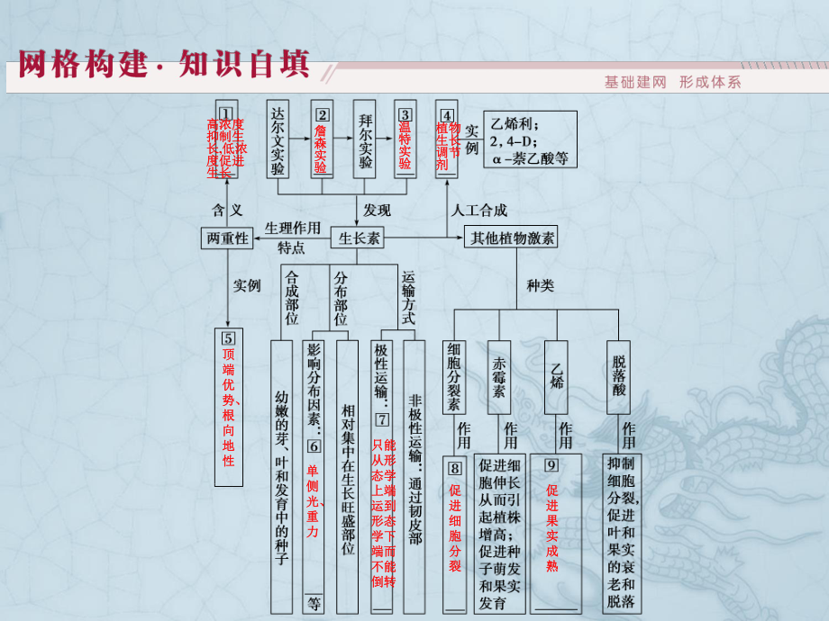 高考生物二轮专题复习课件专题五第3讲-植物的激素调节(64张).ppt_第3页