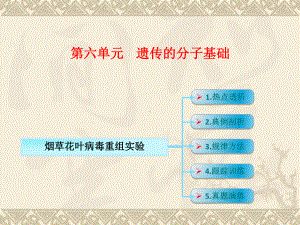 烟草花叶病毒重组实验专题复习课件(共15张).ppt