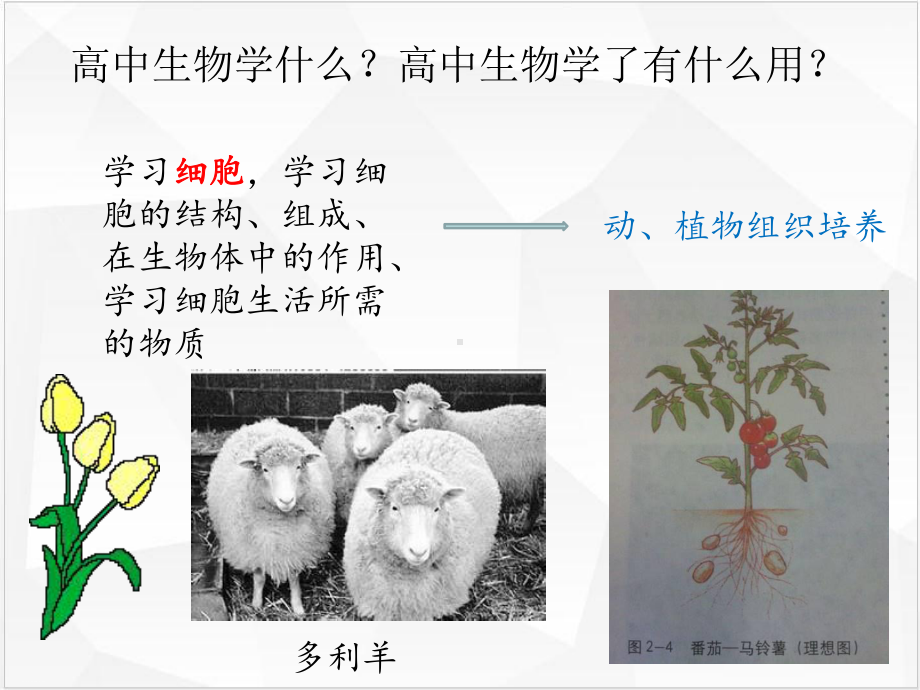 生物必修一第一章走进细胞课件人教版.ppt_第2页