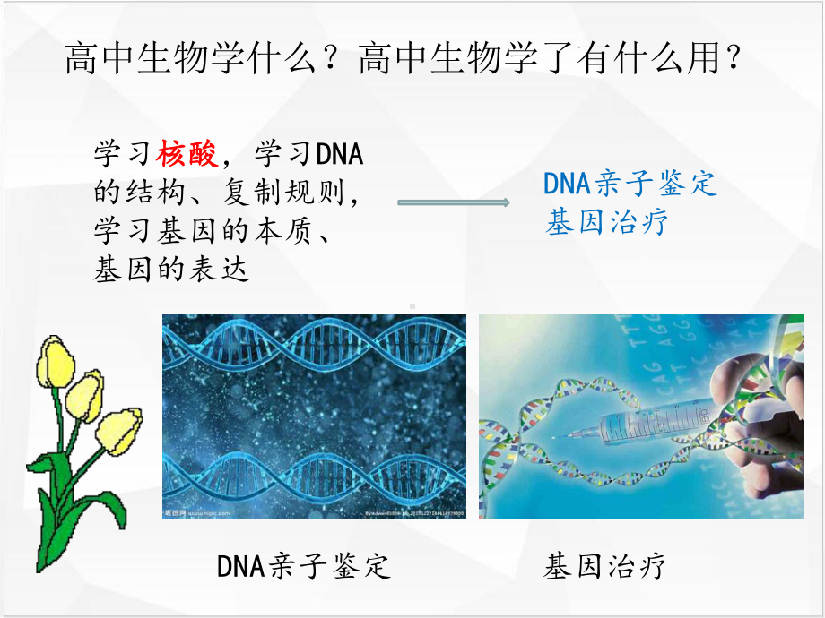 生物必修一第一章走进细胞课件人教版.ppt_第3页