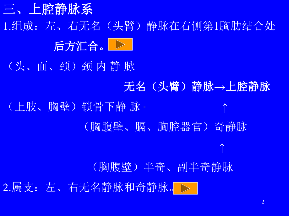 系统解剖静脉课件.ppt_第2页