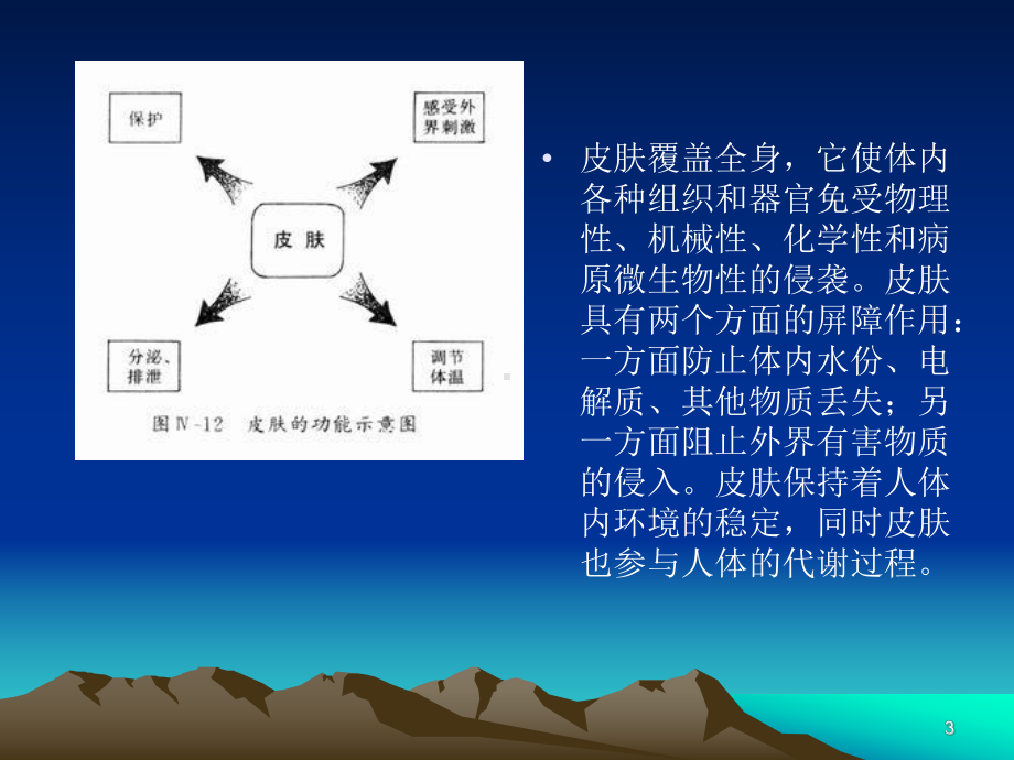 植皮术参考课件.ppt_第3页