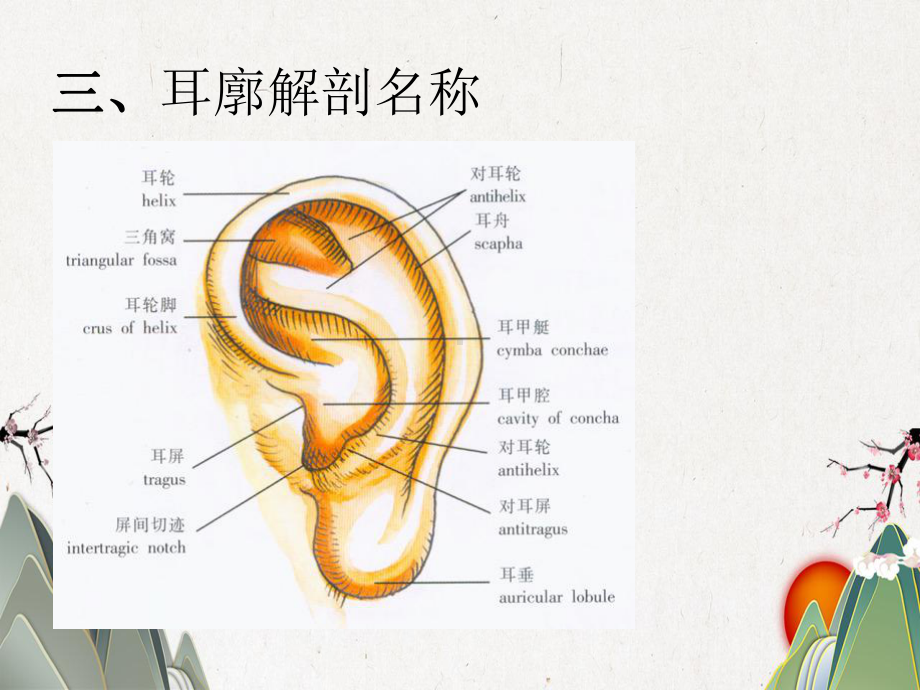 耳穴压豆埋针埋线课件.pptx_第3页