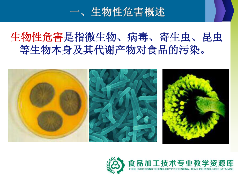 食品安全专业基础-食品中存在的生物性危害及预防控制措施(新)课件.ppt_第2页