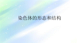 染色体的形态和结构课件.ppt