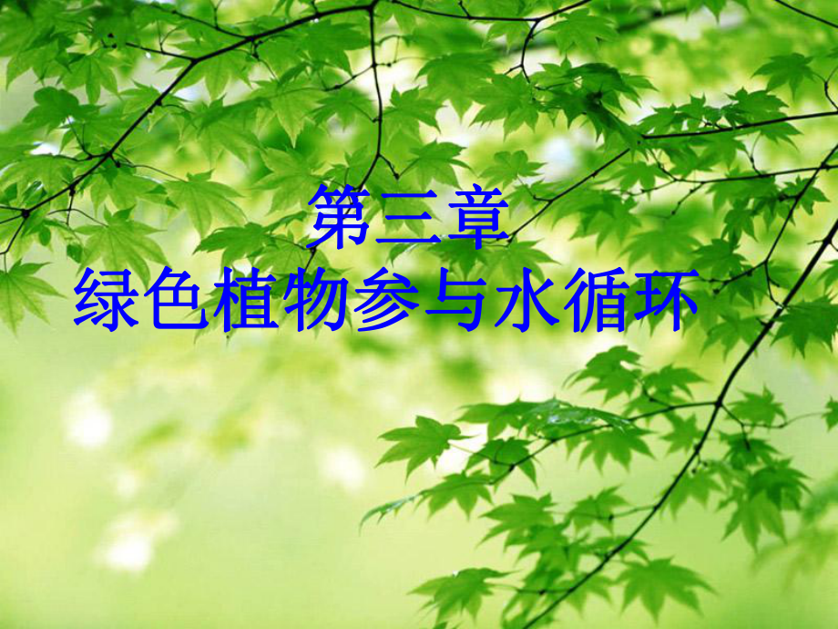 绿色植物与生物圈的水循环教学课件.ppt_第1页