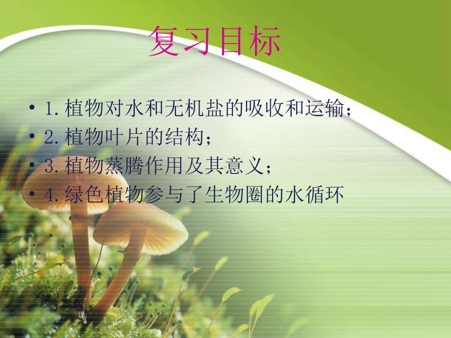 绿色植物与生物圈的水循环教学课件.ppt_第2页