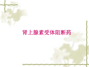 药理学肾上腺素受体阻断药医学课件.ppt