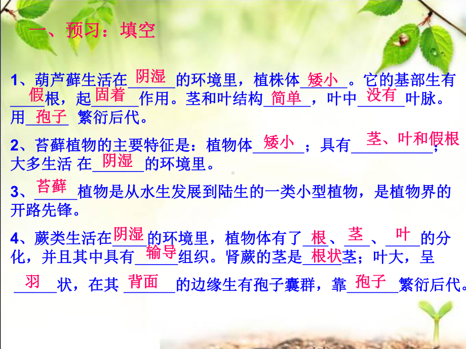 第四节苔藓植物和蕨类植物课件.ppt_第2页