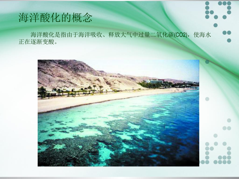 海洋酸化及其对海洋生态系统的影响课件.ppt_第3页