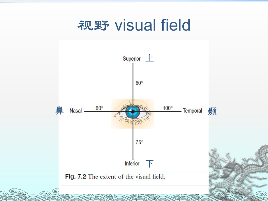 眼视野检查参考课件.ppt_第2页