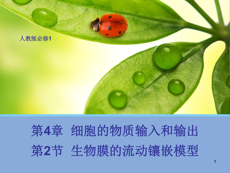 生物膜的流动镶嵌模型-动画版教学课件.ppt_第1页