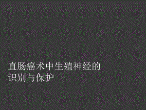 直肠癌术中生殖神经的识别与保护课件.ppt