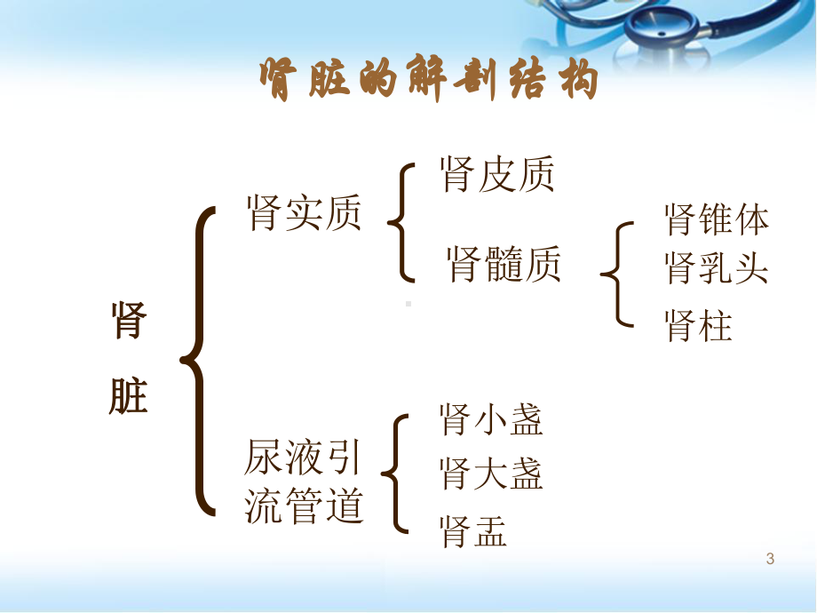 肾脏基本功能课件.ppt_第3页