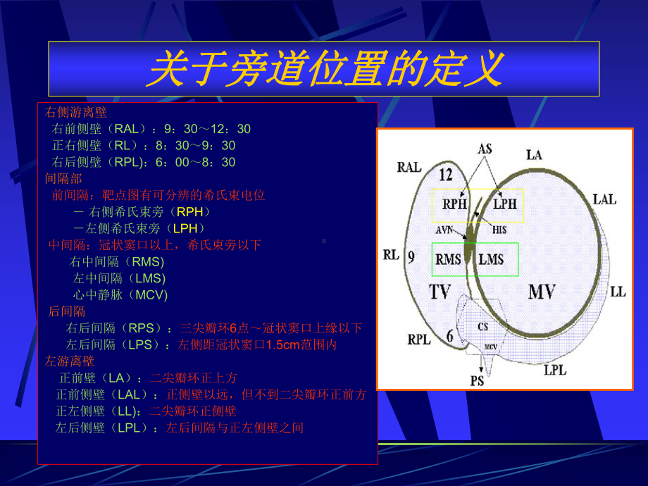 特殊房室旁道的射频消融课件.ppt_第2页