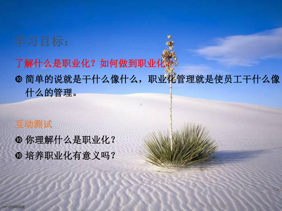 职业化培训[1]课件.ppt_第2页