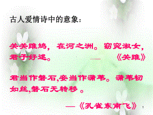 致橡树课件.ppt