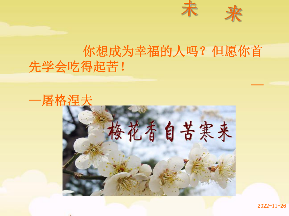 经典励志语录课件.ppt_第3页