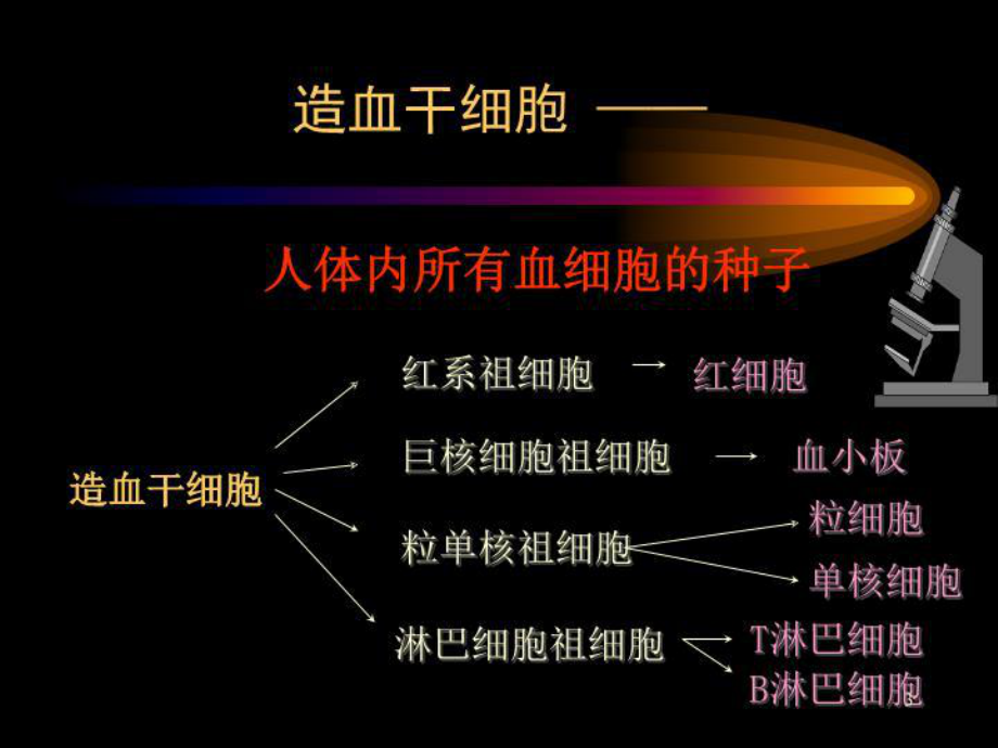 白血病化疗讲座-课件.ppt_第3页