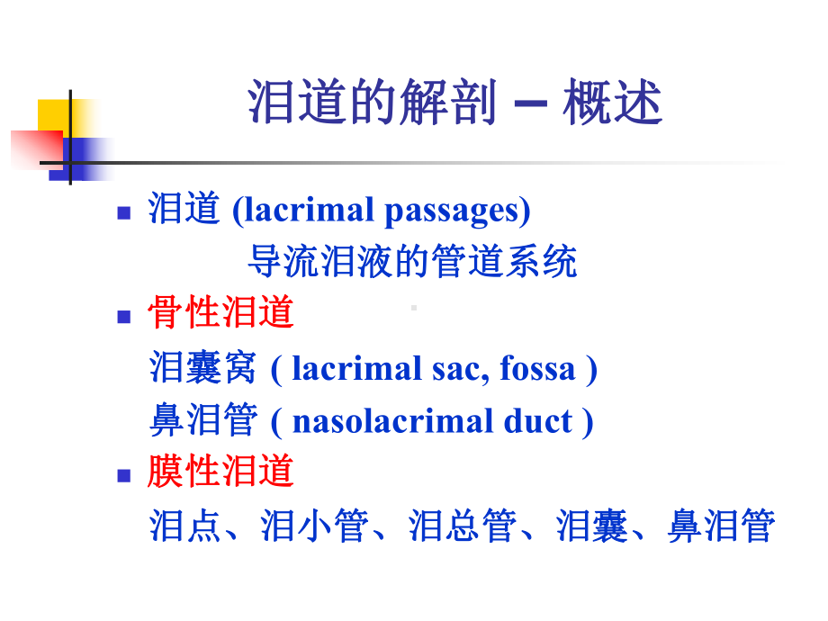 泪道解剖分析课件.ppt_第2页