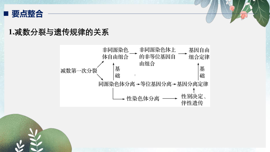 高考生物二轮复习专题一细胞的分子组成基本结构和生命历程考点4细胞增殖与遗传变异的联系课件.ppt_第2页