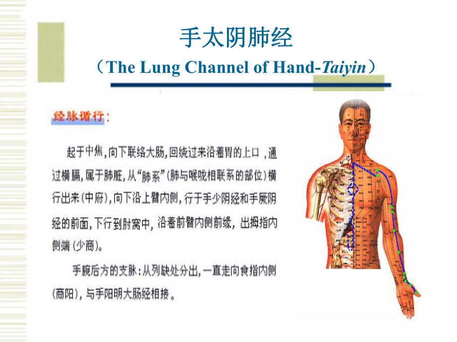 经络腧穴各论医学课件.ppt_第2页