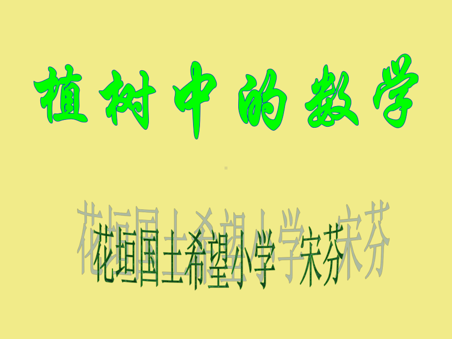 植树中的数学课件.ppt_第1页