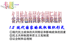 现代国家的政权组织形式教学课件1.ppt