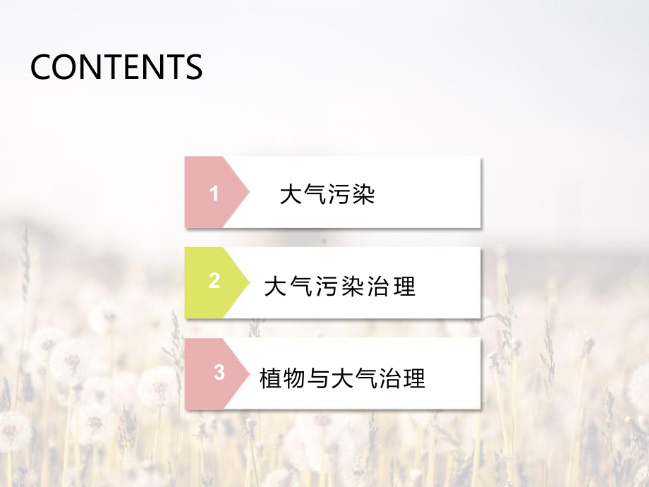 植物与大气治理课件.ppt_第2页