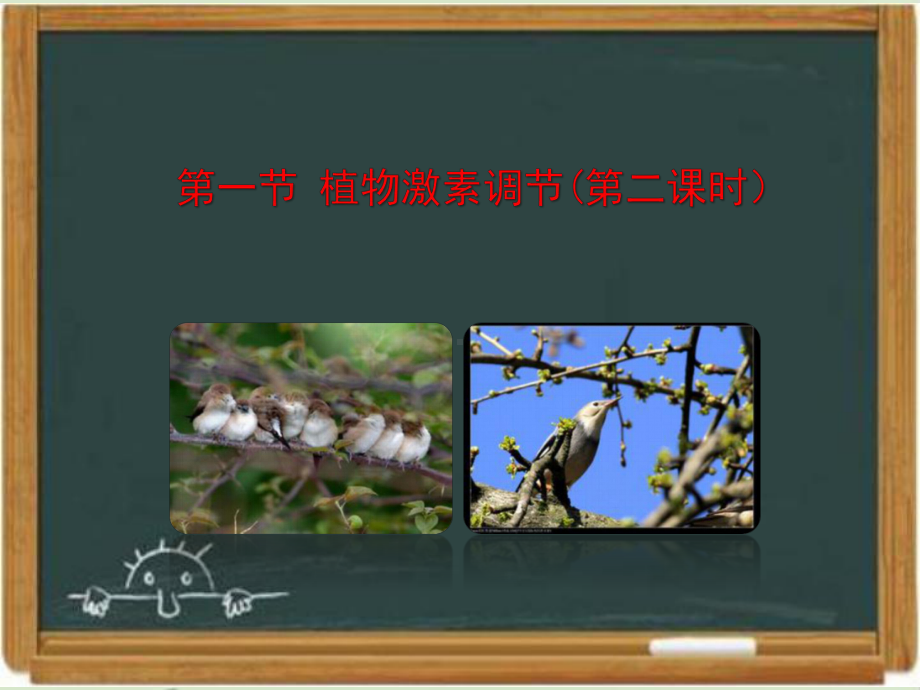 浙科版高中生物必修三《植物激素调节》第二课时课件-新版.ppt_第1页