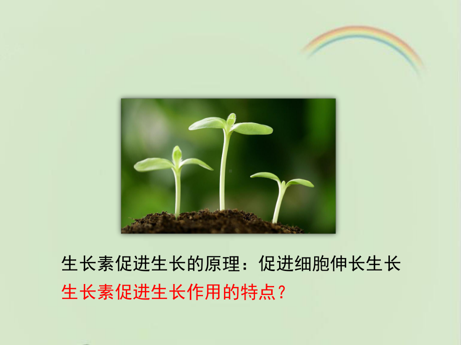 浙科版高中生物必修三《植物激素调节》第二课时课件-新版.ppt_第2页