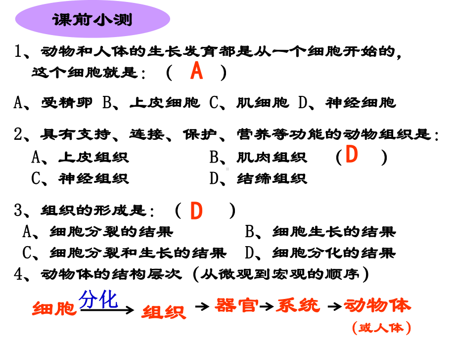 植物体的结构层次-课件.ppt_第1页