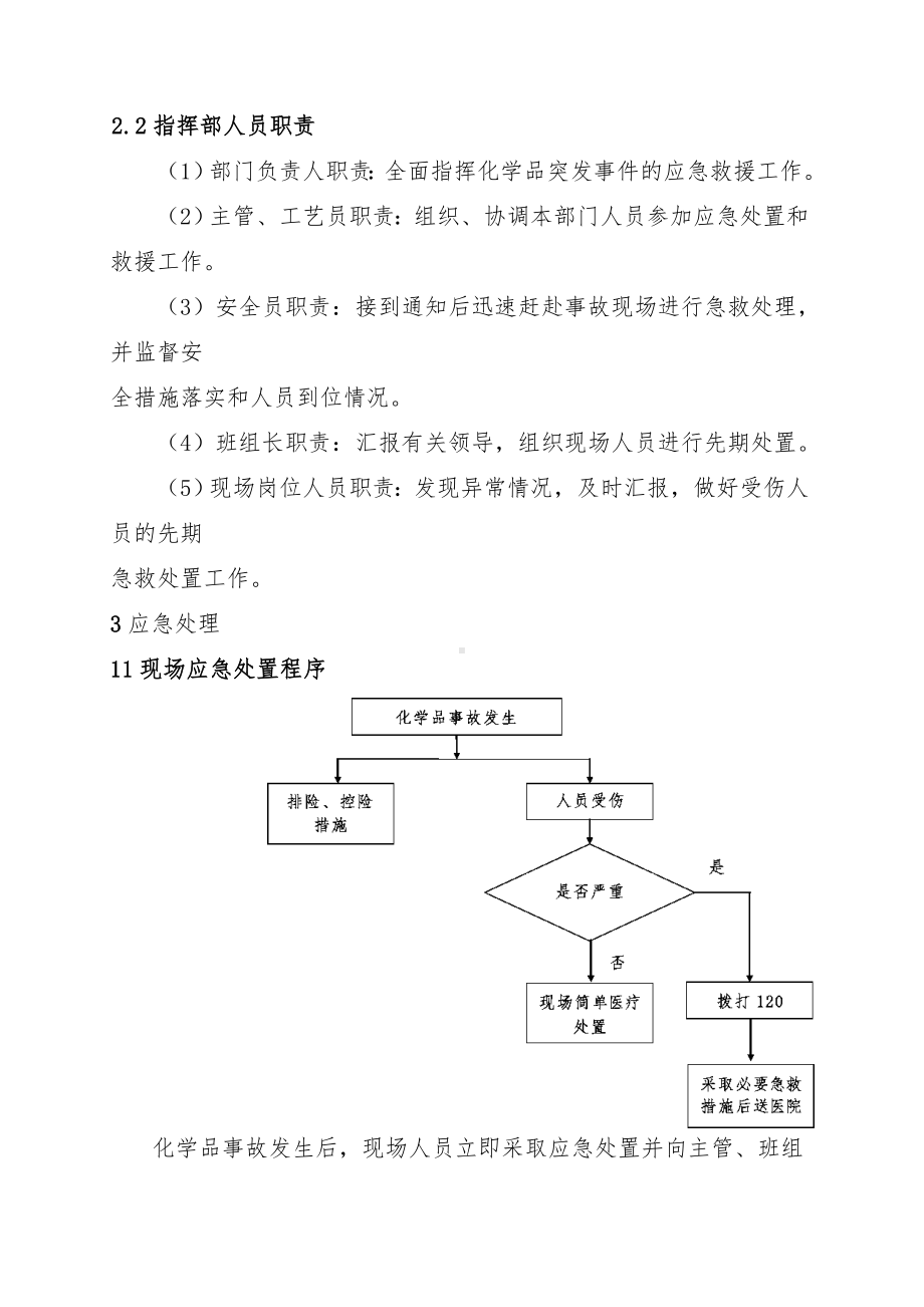 化学品事故现场处置方案 (2)参考模板范本.doc_第2页